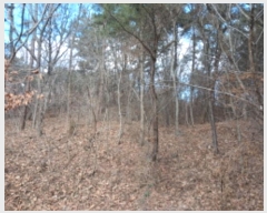  2024Ÿ62248 泲   긮 494-19      (Ӿ)