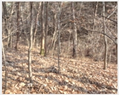  2024Ÿ62248 泲   긮 494-19      (Ӿ)