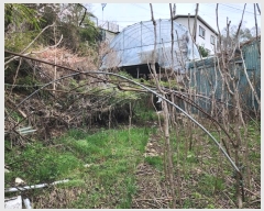  2024Ÿ��950 �泲 ����� ������ 685-1       ����(��1)���