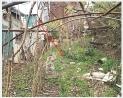  2024Ÿ��950 �泲 ����� ������ 685-1       ����(��1)���