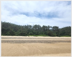  2024Ÿ2505 泲 ¾ȱ ҿ ׸ 77-1      (Ӿ)