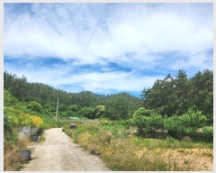  2024Ÿ2505 泲 ¾ȱ ҿ ׸ 77-1      (Ӿ)