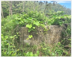  2024Ÿ2505 泲 ¾ȱ ҿ ׸ 77-1      (Ӿ)