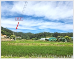  2024Ÿ2505 泲 ¾ȱ ҿ ׸ 77-1      (Ӿ)