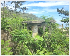  2024Ÿ2505 泲 ¾ȱ ҿ ׸ 77-1      (Ӿ)