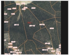  2024Ÿ2505 泲 ¾ȱ ҿ ׸ 77-1      (Ӿ)