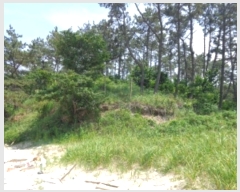  2024Ÿ2505 泲 ¾ȱ ҿ ׸ 77-1      (Ӿ)