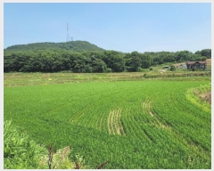  2024Ÿ2567 泲  ۾  141      ()