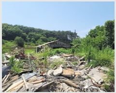  2024Ÿ2567 泲  ۾  141      ()