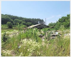  2024Ÿ2567 泲  ۾  141      ()