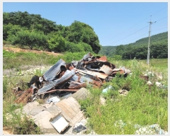  2024Ÿ2567 泲  ۾  141      ()