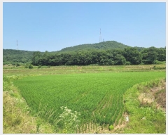  2024Ÿ2567 泲  ۾  141      ()