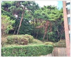  2024Ÿ��4068  �Ӿ߰��