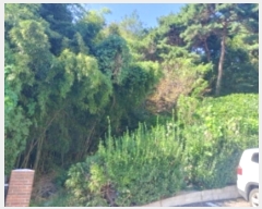  2024Ÿ��4068  �Ӿ߰��