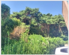  2024Ÿ��4068  �Ӿ߰��