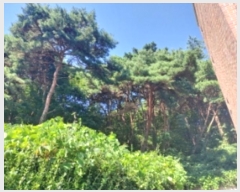  2024Ÿ��4068  �Ӿ߰��