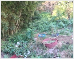  2024Ÿ��4068  �Ӿ߰��