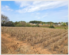  2024Ÿ4280 泲   õ 23-7      (1)