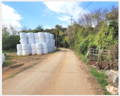  2024Ÿ4280 泲   õ 23-7      (1)