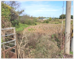  2024Ÿ4280 泲   õ 23-7      (1)