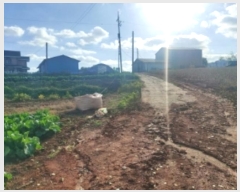  2024Ÿ4280 泲   õ 23-7      (1)