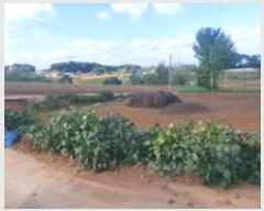  2024Ÿ4280 泲   õ 23-7      (1)