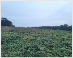  2024Ÿ��4464  �����