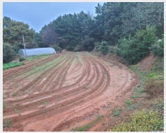  2024Ÿ��4464  �����