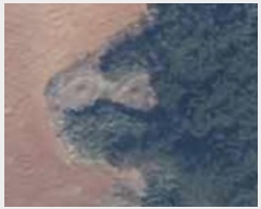  2024Ÿ��4464  �����