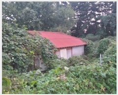  2024Ÿ��4464  �����