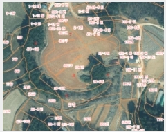  2024Ÿ��4464  �����