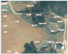  2024Ÿ��4464  �����