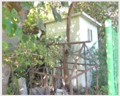  2024Ÿ��4464  �����