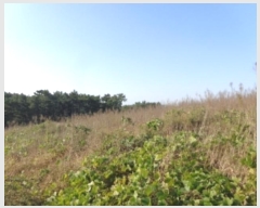  2024Ÿ��4464  �����