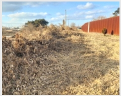  2024Ÿ��5252  �����