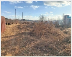  2024Ÿ��5252  �����