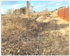  2024Ÿ��5252  �����