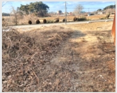  2024Ÿ��5252  �����