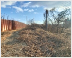  2024Ÿ��5252  �����