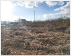  2024Ÿ��5252  �����