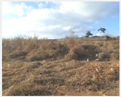  2024Ÿ��5252  �����