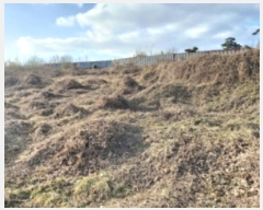  2024Ÿ��5252  �����