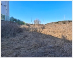  2024Ÿ��5337  �����