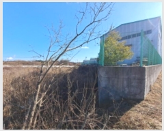  2024Ÿ��5337  �����