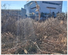  2024Ÿ��5337  �����