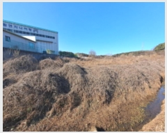  2024Ÿ��5337  �����