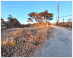  2024Ÿ��5429 �泲 ������ �۾��� ���̸� 292-1      ����(�Ӿ�)���