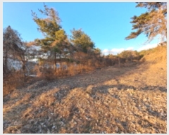  2024Ÿ��5429 �泲 ������ �۾��� ���̸� 292-1      ����(�Ӿ�)���