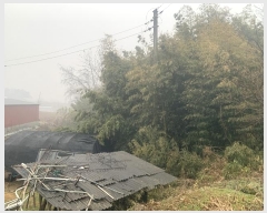  2024Ÿ50245 泲   ȭ 664-1      (Ӿ)