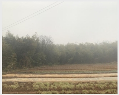  2024Ÿ50245 泲   ȭ 664-1      (Ӿ)